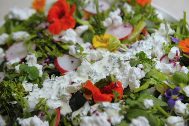 This beautiful spring salad is enhanced with wild cress and edible flowers and dressed with our easy and delicious spring dill and chive dressing.